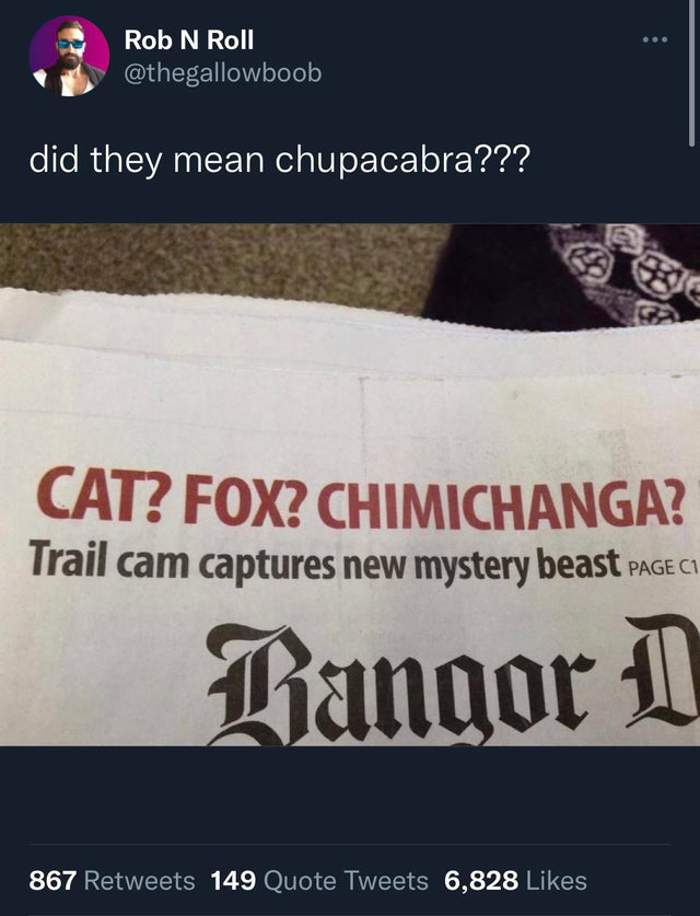 funny tweets - bangor daily news - Rob N Roll did they mean chupacabra??? Cat? Fox? Chimichanga? Trail cam captures new mystery beast Page C1 Bangor 1 867 149 Quote Tweets 6,828