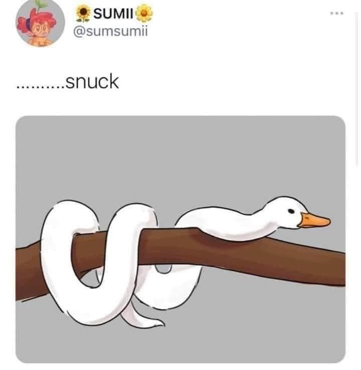 snuck snake duck - Sumii ....snuck C