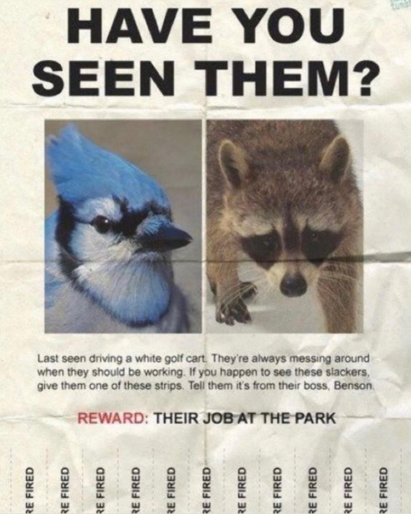 have you seen them - Have You Seen Them? Last seen driving a white golf cart. They're always messing around when they should be working. If you happen to see these slackers, give them one of these strips. Tell them it's from their boss, Benson Reward Thei