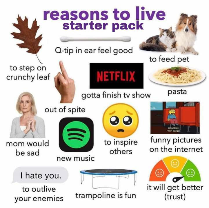 reasons to live starter pack - reasons to live starter pack Qtip in ear feel good to feed pet to step on crunchy leaf Netflix pasta gotta finish tv show out of spite chuckles I'm in danger. mom would be sad to inspire funny pictures others on the internet