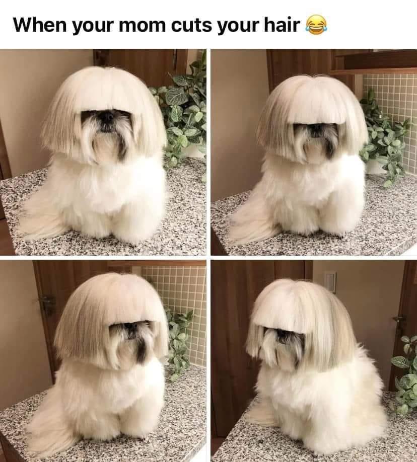 Mixnews - When your mom cuts your hair