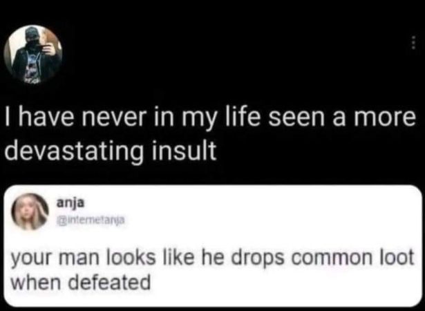 funny gaming memes - good facebook cover - I have never in my life seen a more devastating insult anja intemetana your man looks he drops common loot when defeated
