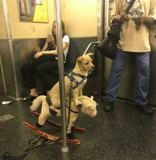 strangest subway - Public transport