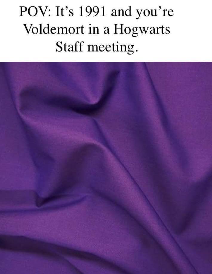 funny memes - lilac - Pov It's 1991 and you're Voldemort in a Hogwarts Staff meeting.