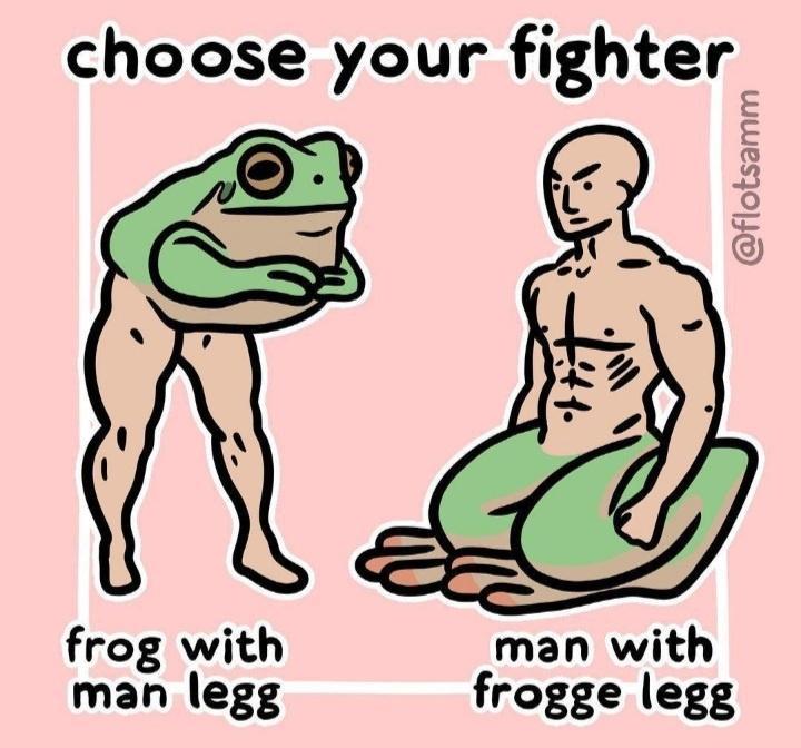 funny memes - frogge meme - choose your fighter frog with man legg man with frogge legg