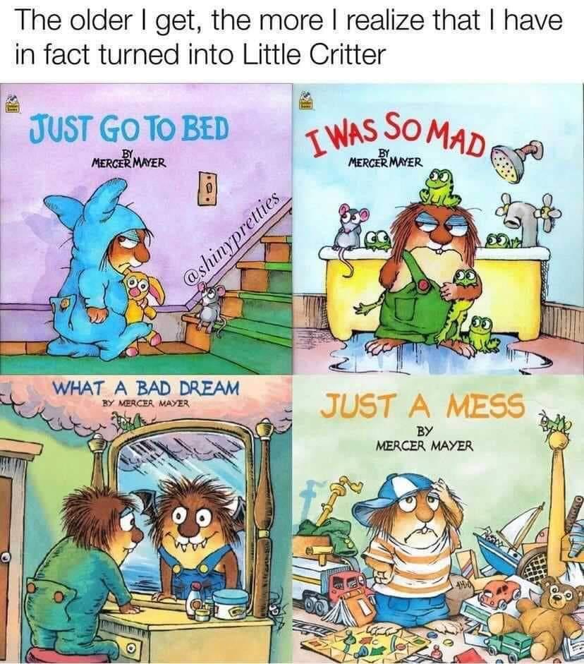 funny memes - little critter books - The older I get, the more I realize that I have in fact turned into Little Critter Just Go To Bed I Was So Made By Merger Mayer By Mercer Mayer O What A Bad Dream By Mercea Mayer Just A Mess By Mercer Mayer Amdo Zele