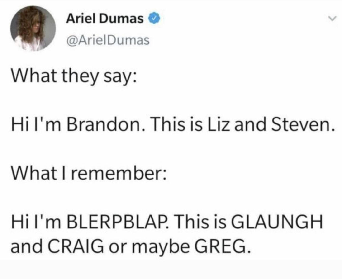 funny tweets - hot tweets - twitter memes - paper - Ariel Dumas What they say Hi I'm Brandon. This is Liz and Steven. What I remember Hi I'm Blerpblap. This is Glaungh and Craig or maybe Greg.