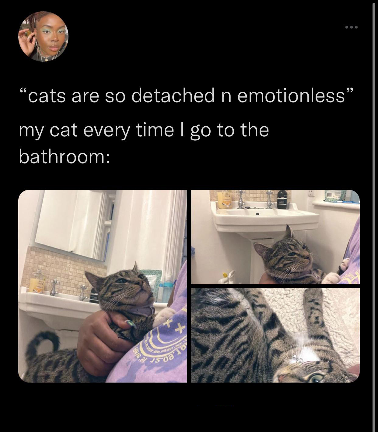 funny tweets - hot tweets - twitter memes - photo caption - "cats are so detached n emotionless my cat every time I go to the bathroom 18946,8 vsoa 10