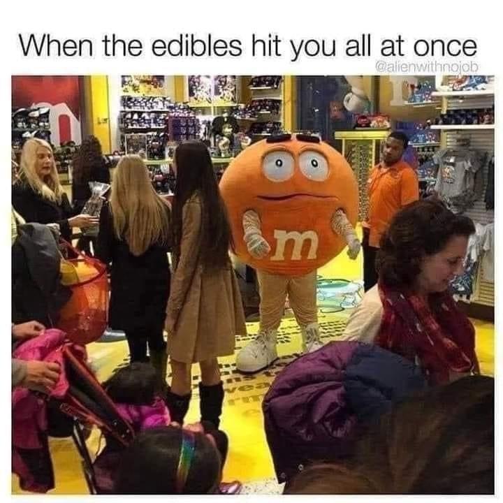 mascot - When the edibles hit you all at once 03 am