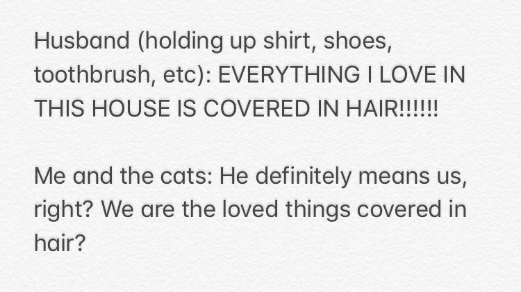 handwriting - Husband holding up shirt, shoes, toothbrush, etc Everything I Love In This House Is Covered In Hair!!!!!! Me and the cats He definitely means us, right? We are the loved things covered in hair?