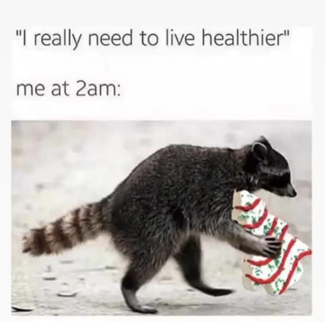 really need to live healthier meme - "I really need to live healthier" me at 2am