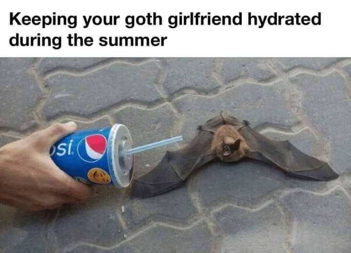 keep your goth gf hydrated - Keeping your goth girlfriend hydrated during the summer si