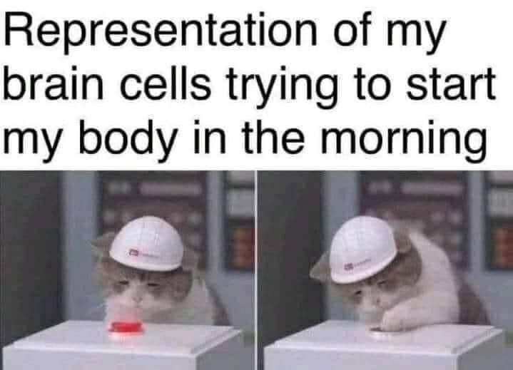 brain cells meme - Representation of my brain cells trying to start my body in the morning