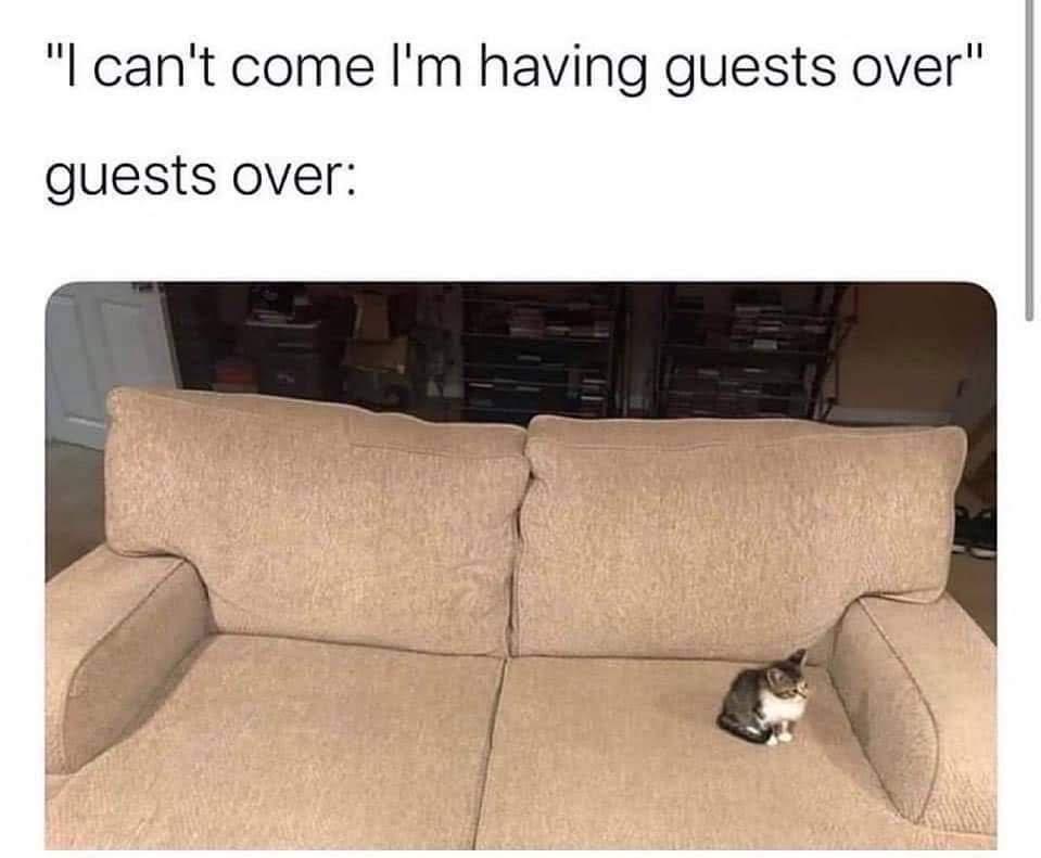 have guests over - "I can't come I'm having guests over" guests over