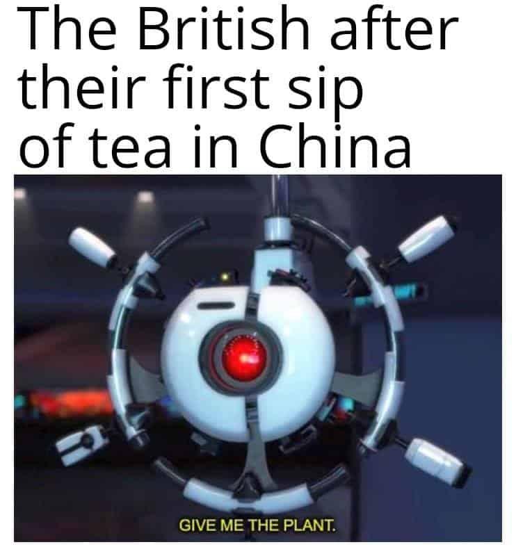 monday morning randomness - gimme the plant meme - The British after their first sip of tea in China Give Me The Plant.