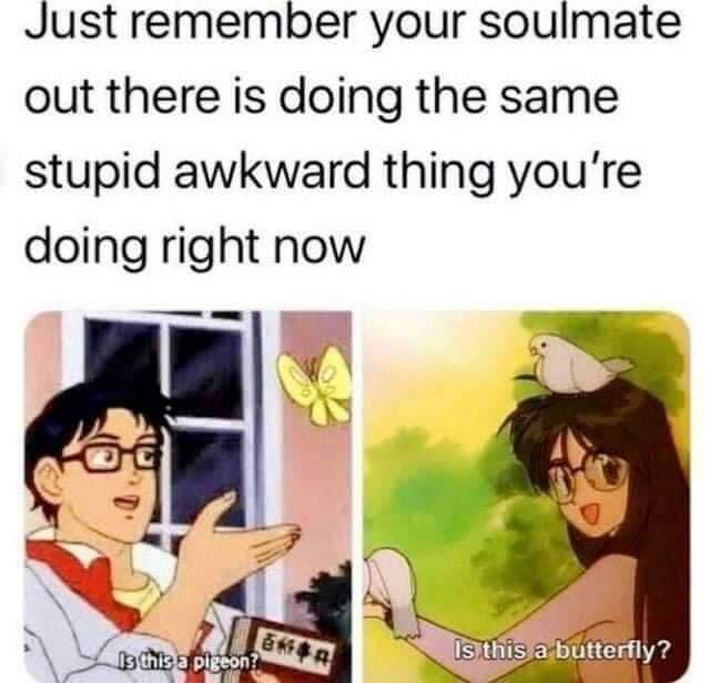 monday morning randomness - soulmates memes - Just remember your soulmate out there is doing the same stupid awkward thing you're doing right now Is this a pigeon? Is this a butterfly?