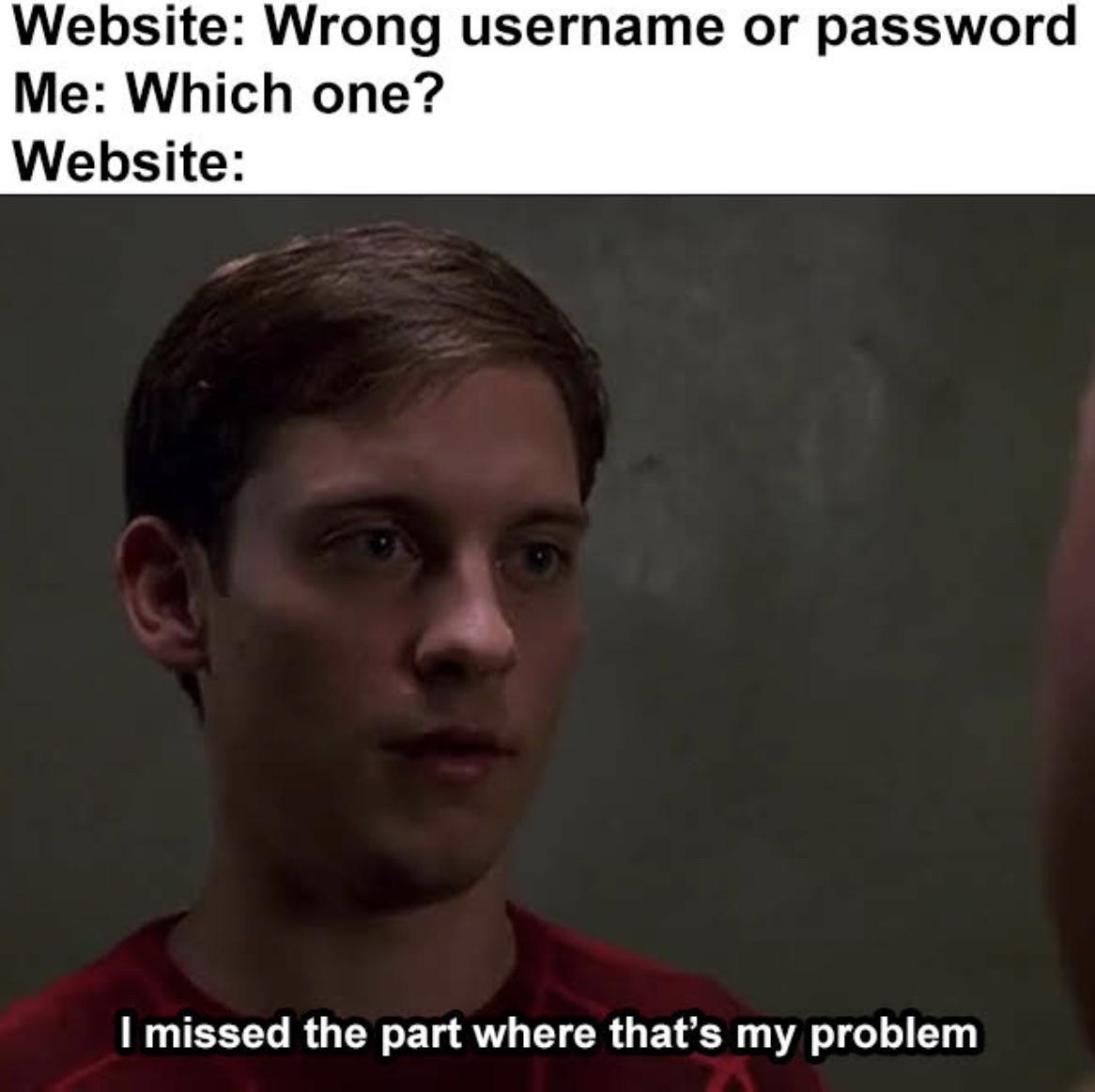 funny gaming memes - password protection - Website Wrong username or password Me Which one? Website I missed the part where that's my problem