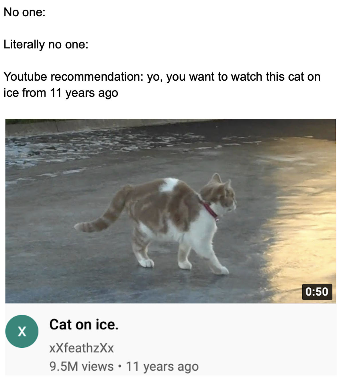 funny gaming memes - fauna - No one Literally no one Youtube recommendation yo, you want to watch this cat on ice from 11 years ago Cat on ice. XXfeathzXx 9.5M views 11 years ago