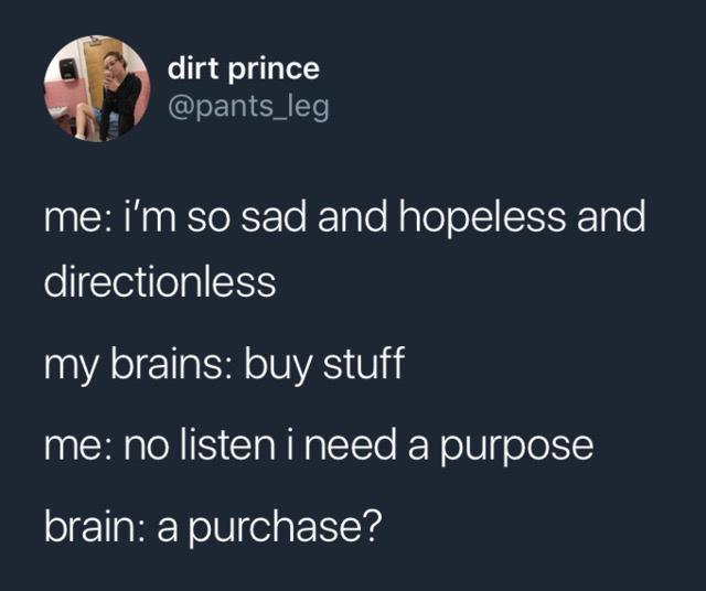 twitter memes - funny tweets moon in 2nd house - dirt prince me I'm so sad and hopeless and directionless my brains buy stuff me no listen i need a purpose brain a purchase?