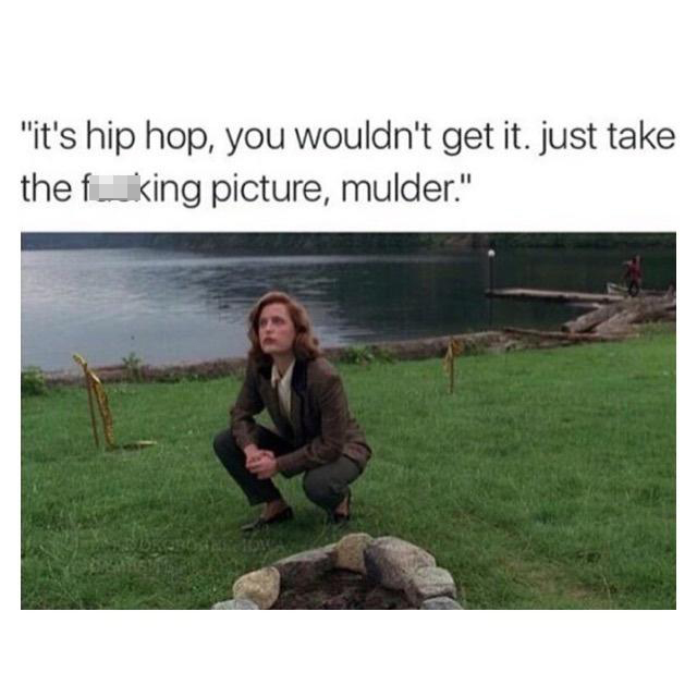 dank memes - funny memes - grass - "it's hip hop, you wouldn't get it. just take the fuking picture, mulder." Os