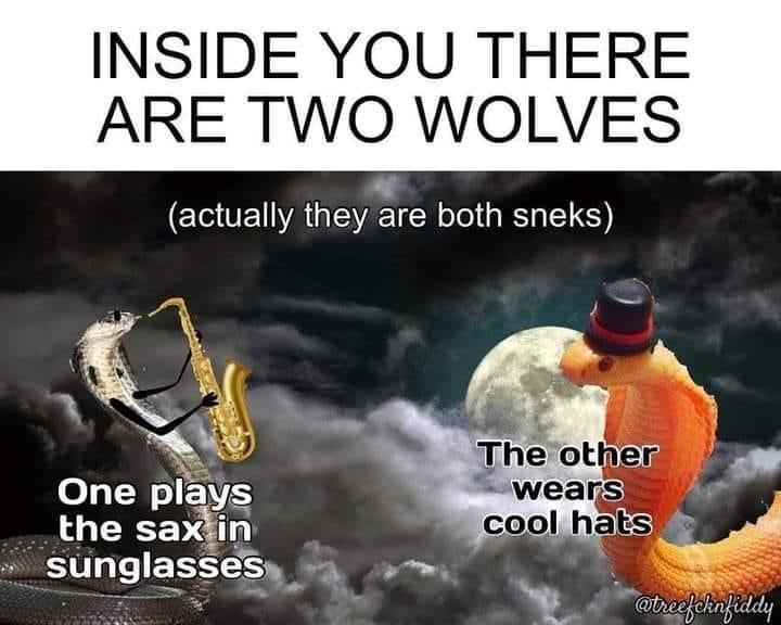dank memes - funny memes - high resolution full moon - Inside You There Are Two Wolves actually they are both sneks One plays the sax in sunglasses The other wears cool hats