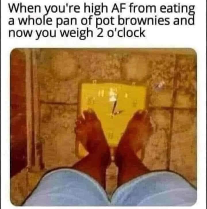 dank memes - funny memes - Weed brownies - When you're high Af from eating a whole pan of pot brownies and now you weigh 2 o'clock