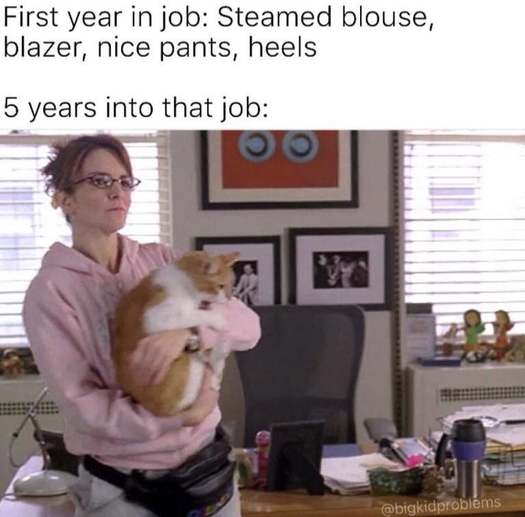 dank memes - funny memes - photo caption - First year in job Steamed blouse, blazer, nice pants, heels 5 years into that job