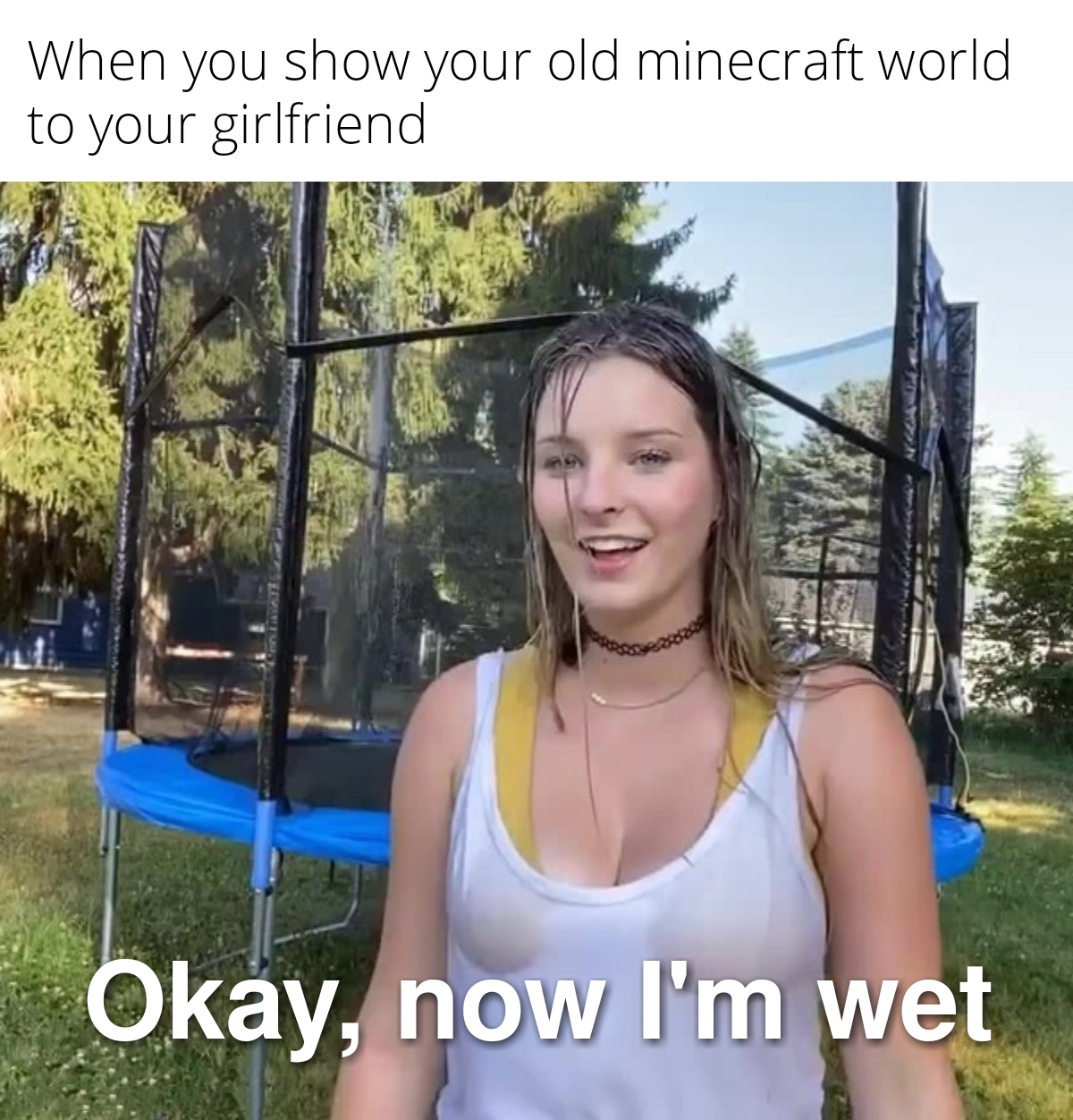 funny gaming memes - okay now i m wet - When you show your old minecraft world to your girlfriend Okay, now I'm wet