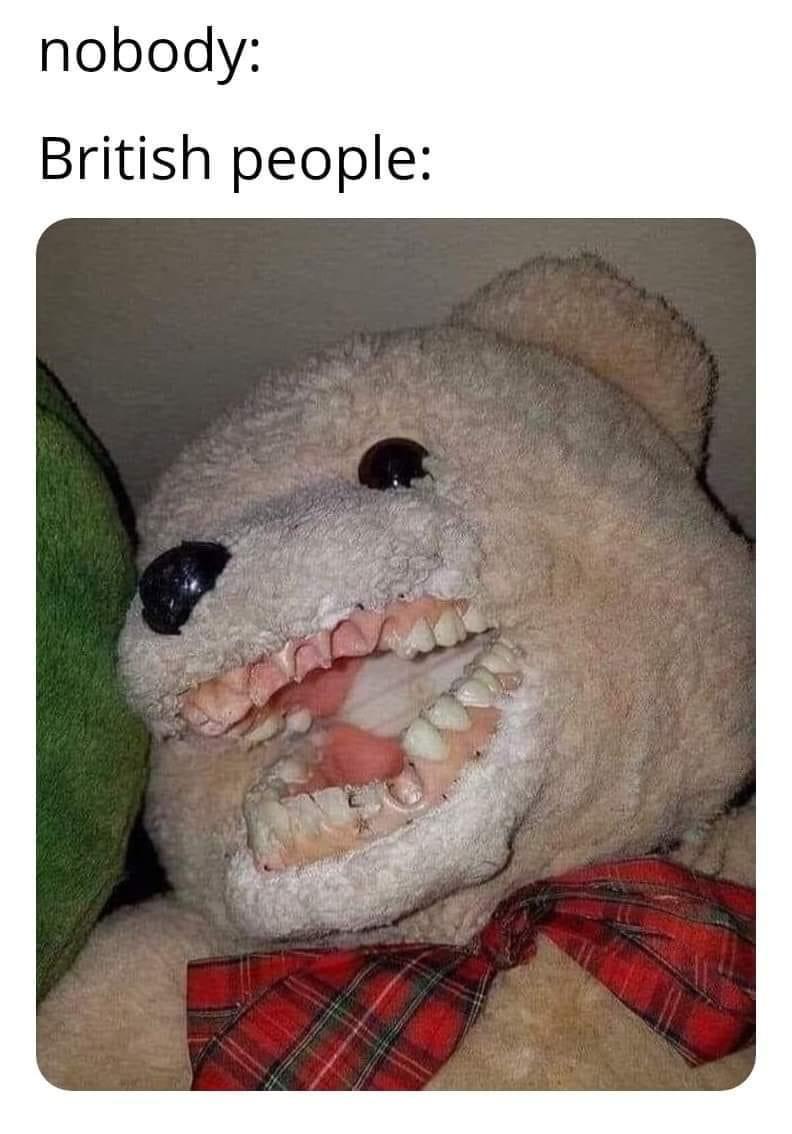funny memes - dank memes - cursed bear - nobody British people