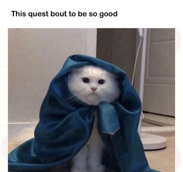 funny memes - dank memes - child left behind - This quest bout to be so good