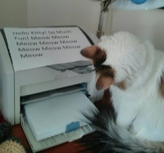 funny memes - dank memes - cat printer meme - Hello Kitty so much Funt Meow Meow Meow Meow Meow Meow Meow meow Meow