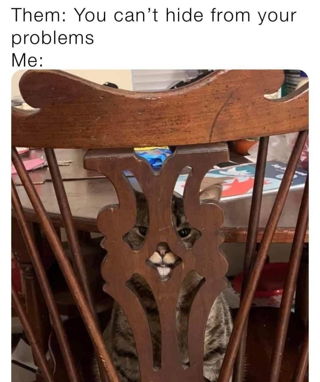 funny memes - dank memes - table - Them You can't hide from your problems Me
