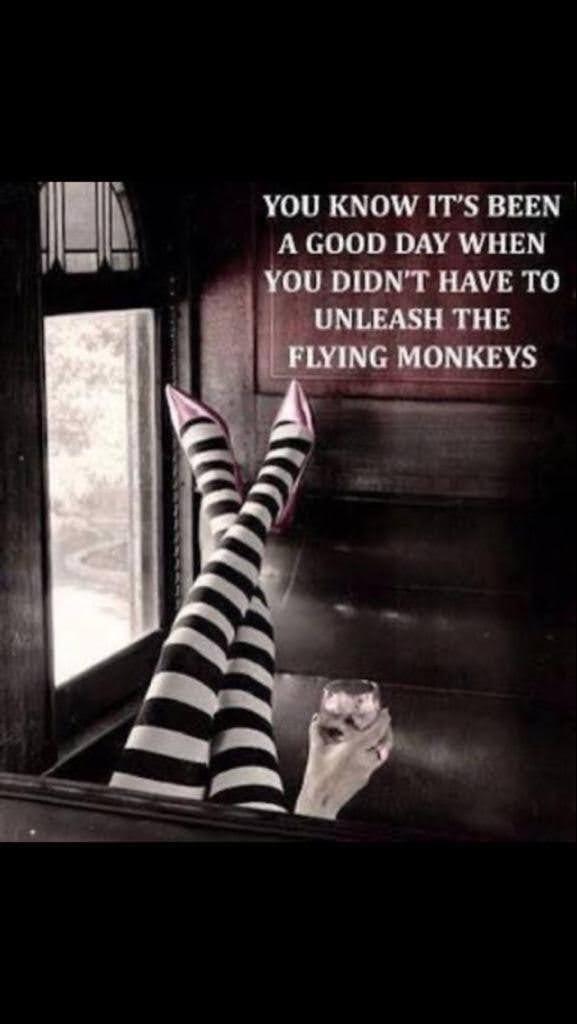 funny memes - dank memes - summer solstice meme funny - You Know It'S Been A Good Day When You Didn'T Have To Unleash The Flying Monkeys