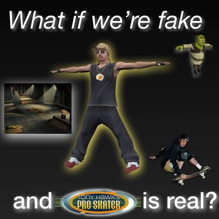 funny gaming memes - tony hawk memes - What if we're fake and Pro Skater is real?