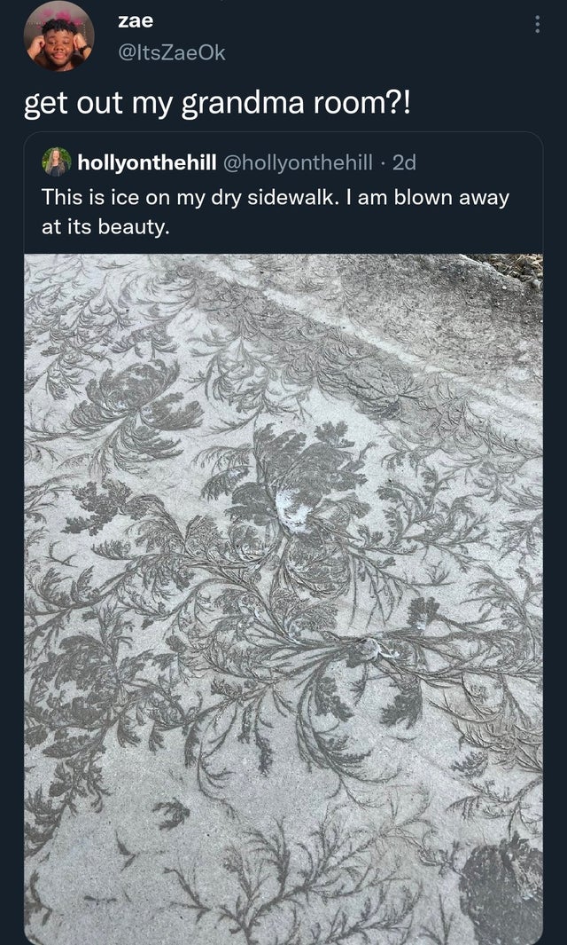 funny tweets and memes - water resources - zae get out my grandma room?! hollyonthehill . 2d This is ice on my dry sidewalk. I am blown away at its beauty.