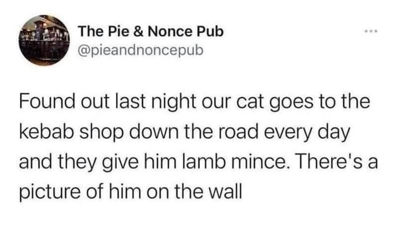 funny tweets and memes - bashaud breeland tweet - The Pie & Nonce Pub Found out last night our cat goes to the kebab shop down the road every day and they give him lamb mince. There's a picture of him on the wall