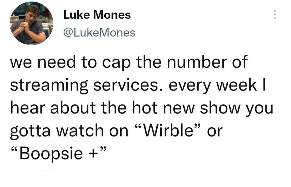 funny tweets and memes - roses are red violets are blue poems grandma - Luke Mones Mones we need to cap the number of streaming services. every week I hear about the hot new show you gotta watch on Wirble or Boopsie