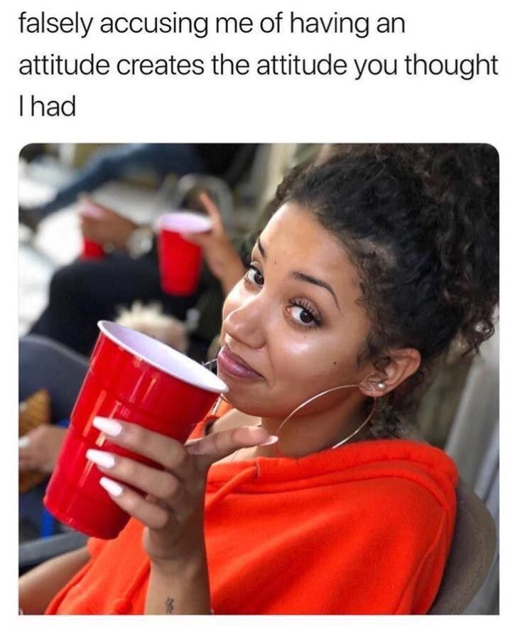 funny memes and pics - falsely accusing me of having an attitude - falsely accusing me of having an attitude creates the attitude you thought Thad Hi