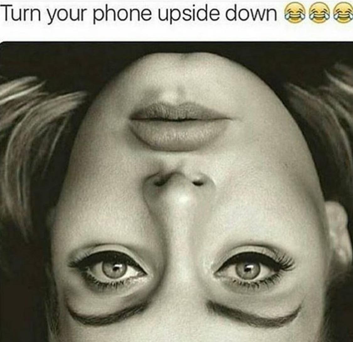 funny memes and pics - adele upside down face - Turn your phone upside down Cb