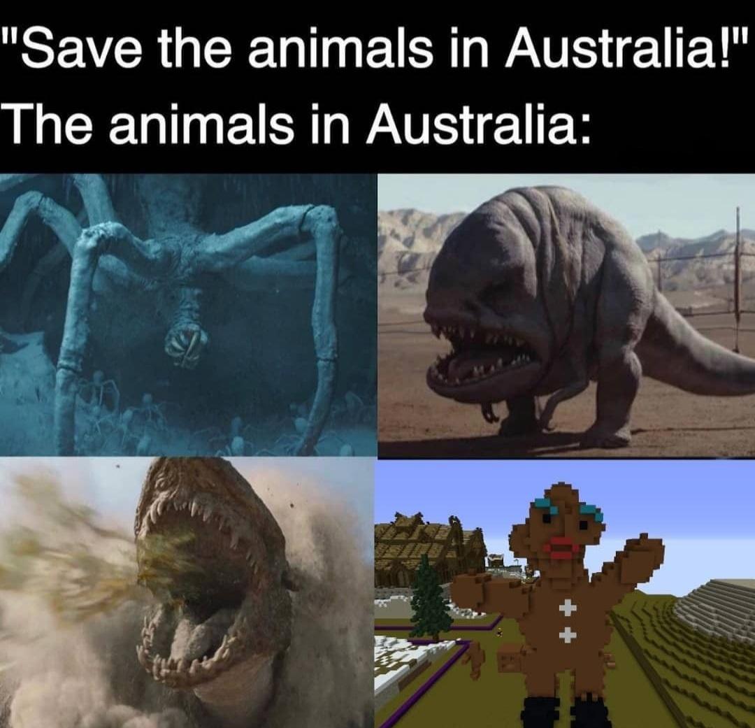 funny gaming memes - lonely planet - "Save the animals in Australia!" The animals in Australia