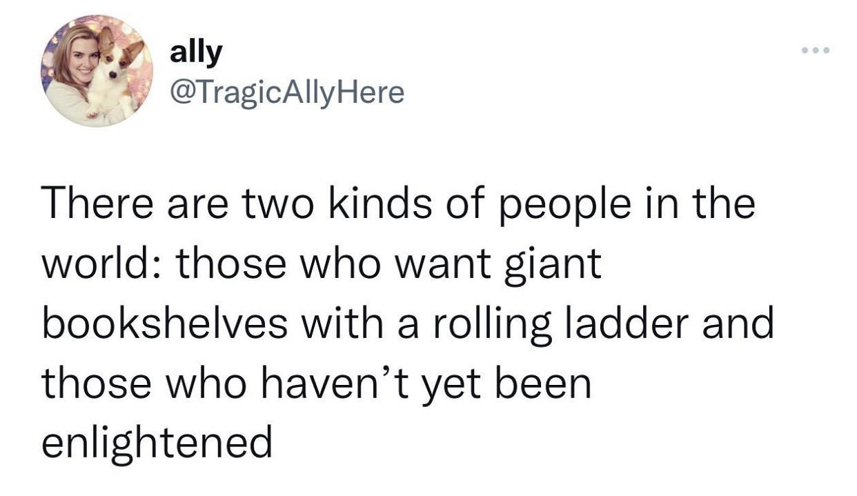 twitter memes - ally There are two kinds of people in the world those who want giant bookshelves with a rolling ladder and those who haven't yet been enlightened