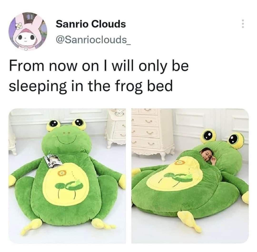 twitter memes - sleeping bag frog bed - Sanrio Clouds From now on I will only be sleeping in the frog bed