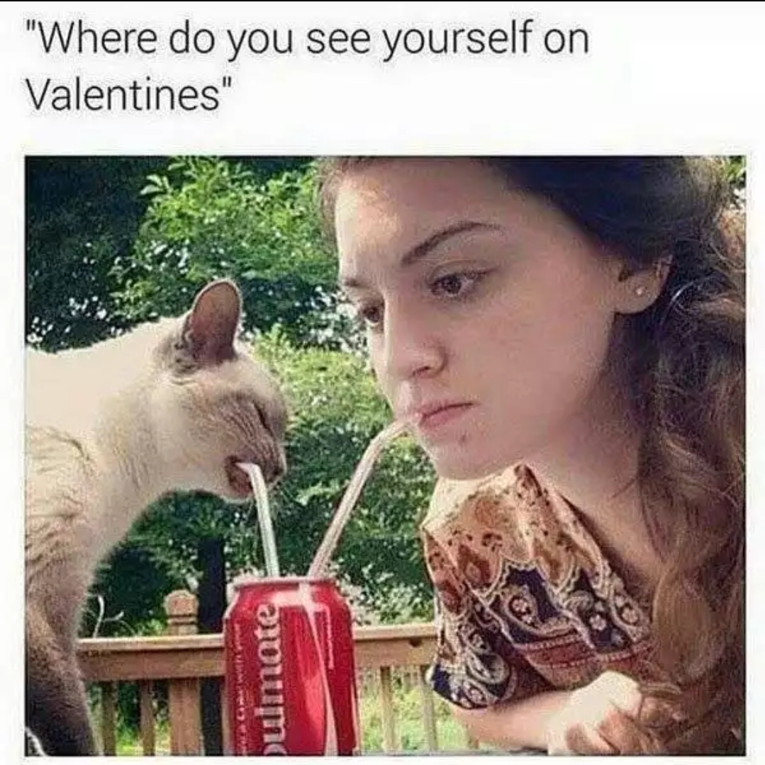funny memes - fresh memes - single on valentines day memes - "Where do you see yourself on Valentines" Ge pumate