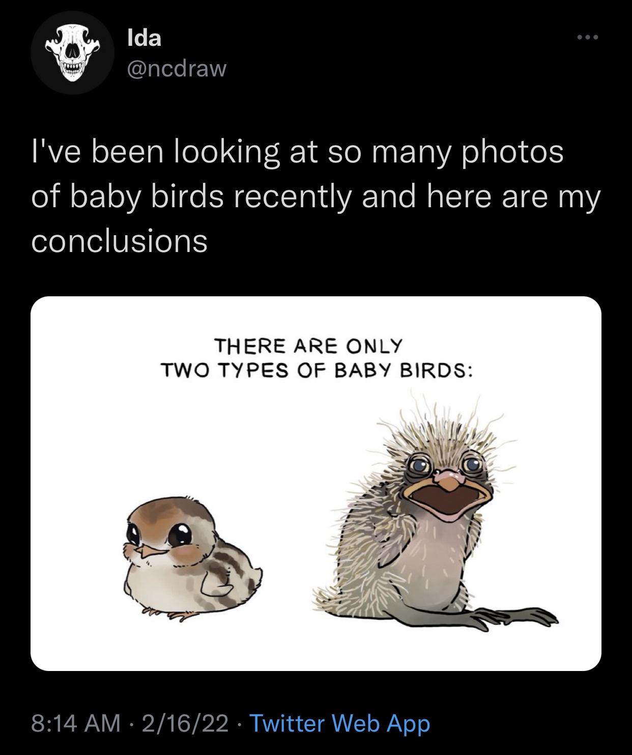 funny memes - fresh memes - fauna - Ida img I've been looking at so many photos of baby birds recently and here are my conclusions There Are Only Two Types Of Baby Birds 21622 Twitter Web App