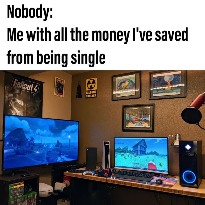 funny gaming memes -- software - Nobody Me with all the money I've saved from being single Fallout 4 Fallout Shelter