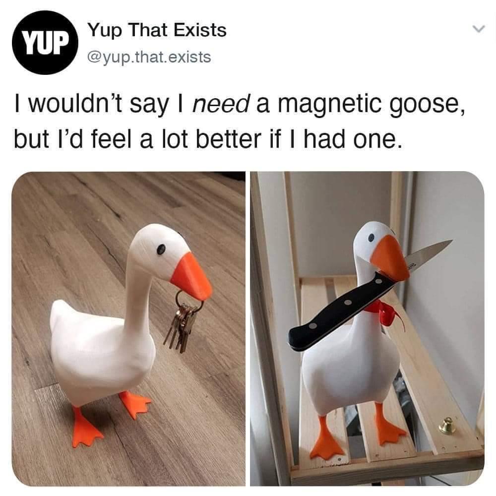 funny tweets - paraguard cleanse - Yup Yup That Exists .that exists I wouldn't say I need a magnetic goose, but I'd feel a lot better if I had one.
