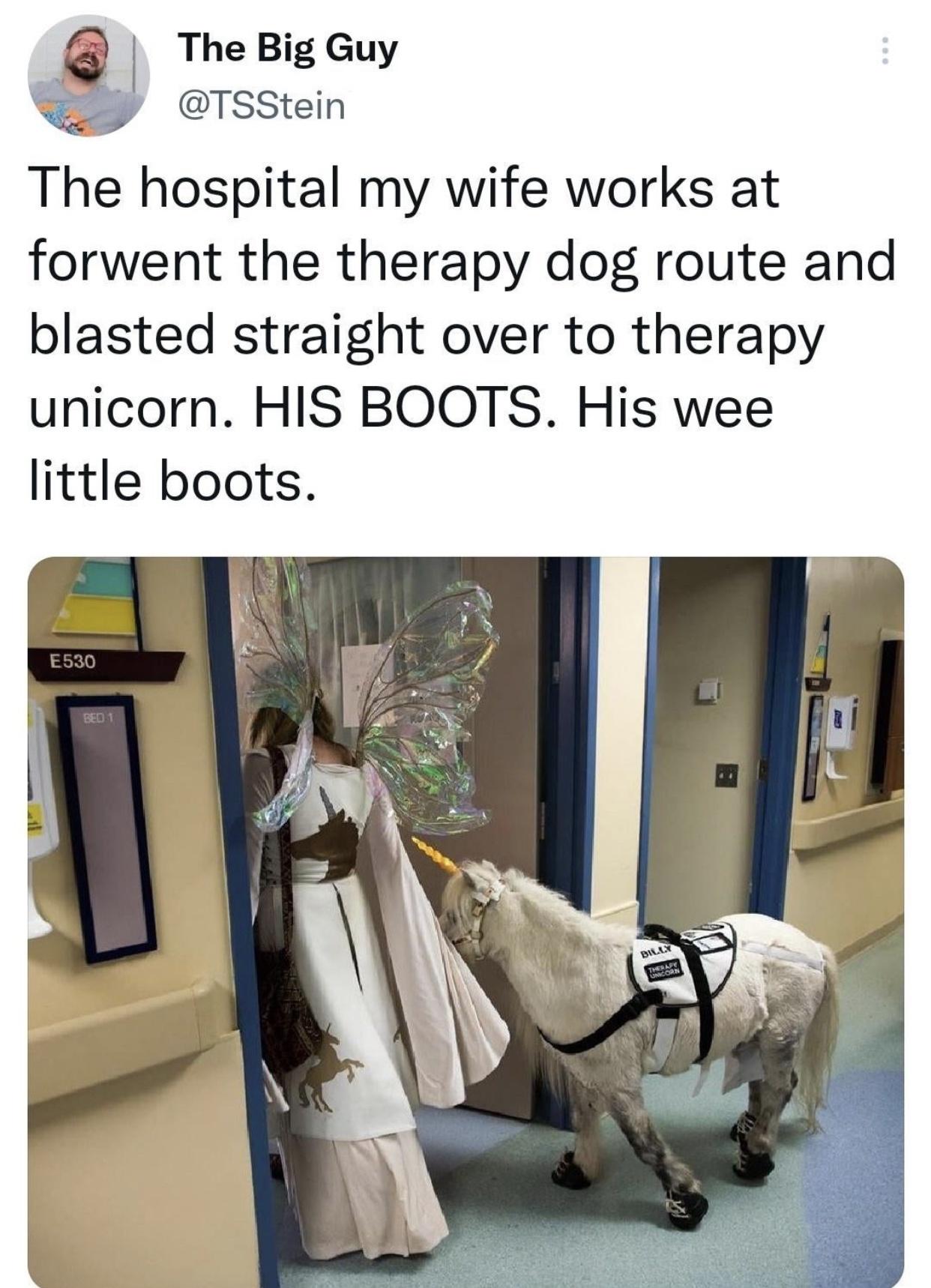 dank memes - therapy unicorn - The Big Guy The hospital my wife works at forwent the therapy dog route and blasted straight over to therapy unicorn. His Boots. His wee little boots. E530 Bed 1 Billx Toare Soon
