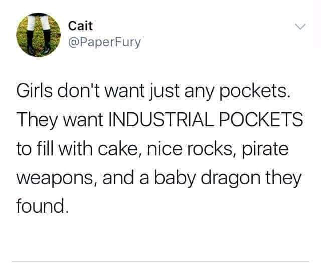 dank memes - angle - Cait Girls don't want just any pockets. They want Industrial Pockets to fill with cake, nice rocks, pirate weapons, and a baby dragon they found.