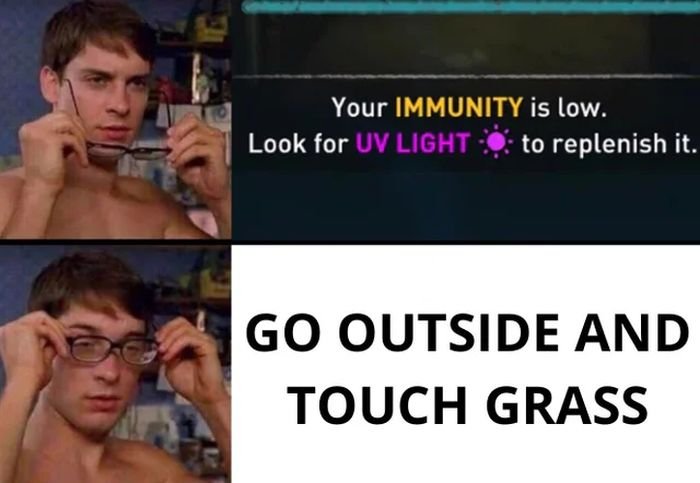 funny gaming memes - blurred vision meme - Your Immunity is low. Look for Uv Light to replenish it. Go Outside And Touch Grass