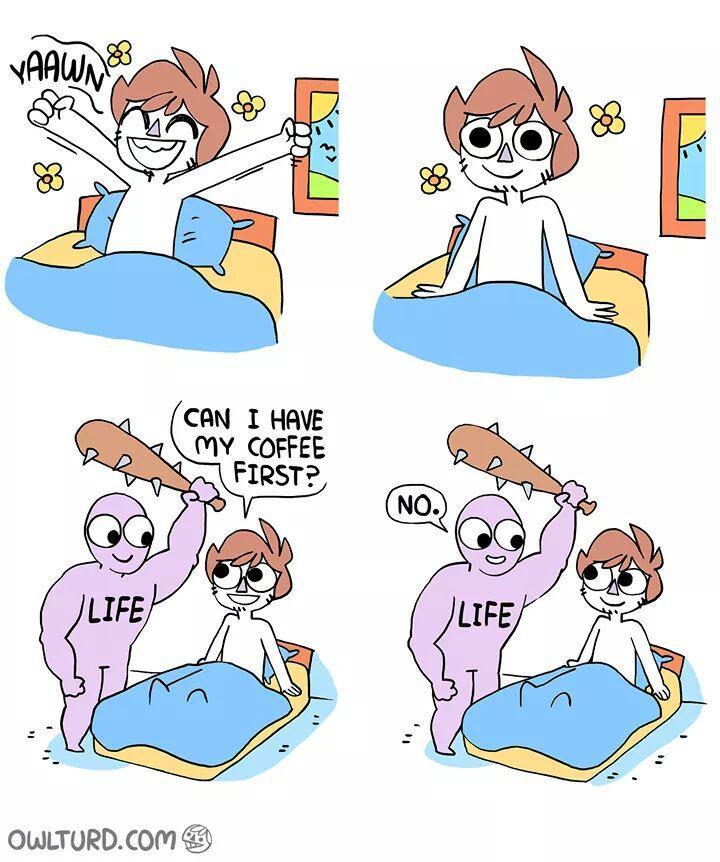 funny memes - dank memes - shen owlturd - Vaawn E Can I Have My Coffee First? No. Life Life Owlturd.Com